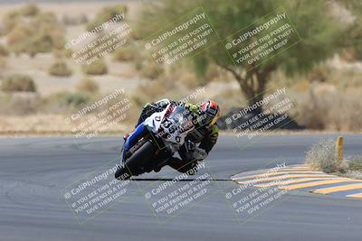 media/May-14-2023-SoCal Trackdays (Sun) [[024eb53b40]]/Turn 5 Tree of Life (1125am)/